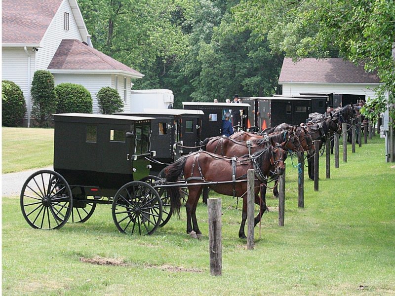 Nueva York - Comunidad Amish de Lancaster
