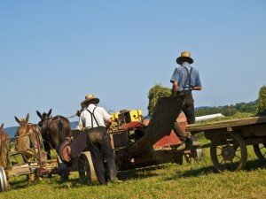 Comunidad Amish